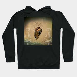 Ra  the god of ancient Egypt Hoodie